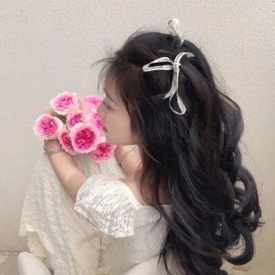园丁 在线观看